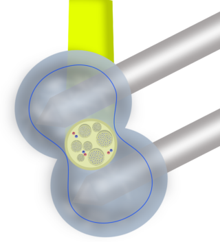 Dual cryoneurolisis