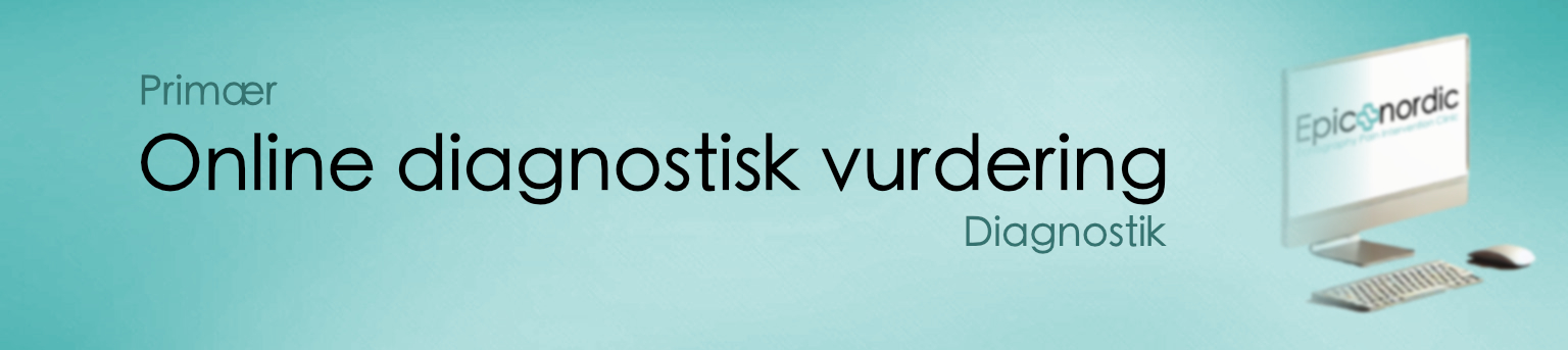 Online diagnostisk vurdering